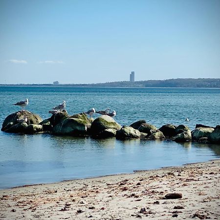 Fewo Sonnendeck Familien-Strandnah-Garten-Hunde-Sport-Und Schwimmbadnah-Hansapark ジールクスドルフ エクステリア 写真
