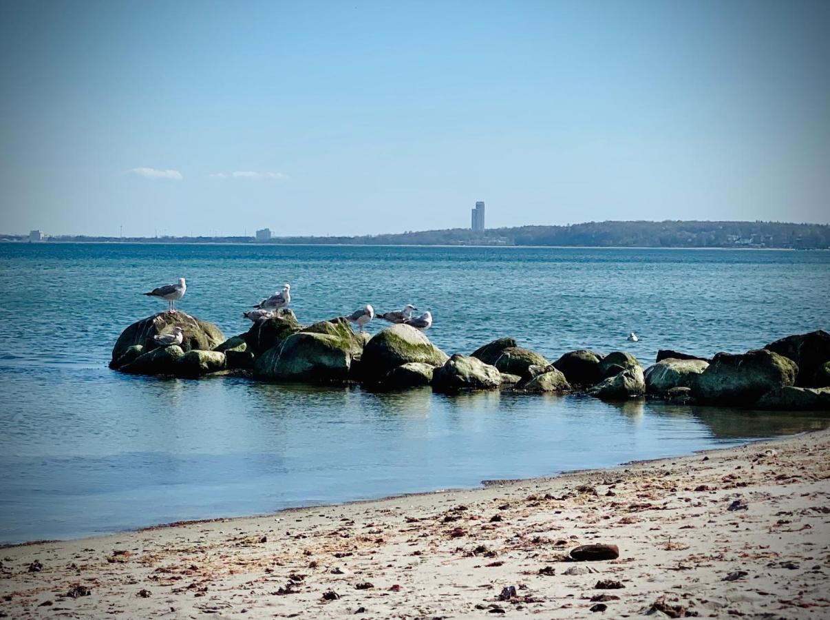 Fewo Sonnendeck Familien-Strandnah-Garten-Hunde-Sport-Und Schwimmbadnah-Hansapark ジールクスドルフ エクステリア 写真